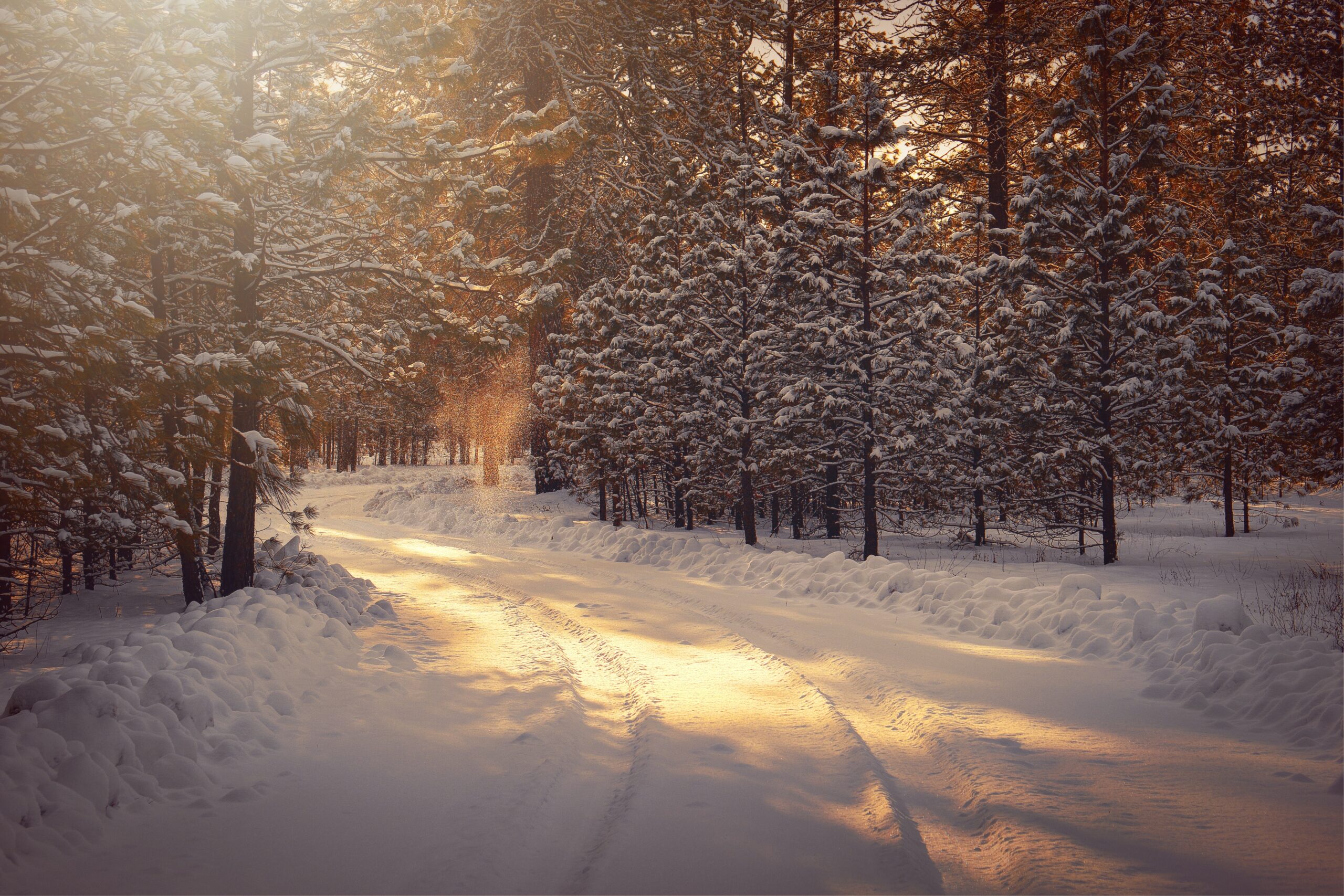 Winter Snowy Road